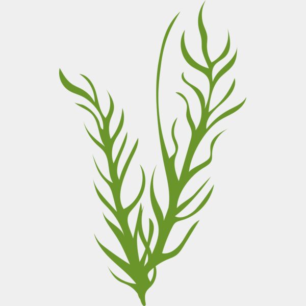 Leaves 8 Thumbnail