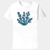 Sofspun Crewneck T-Shirt Thumbnail