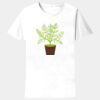 Sofspun Crewneck T-Shirt Thumbnail