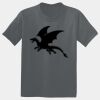 The Concert Tee ® Thumbnail